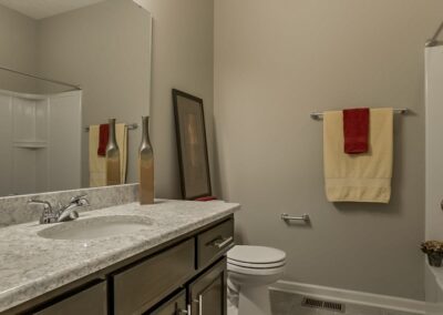 Bathroom with grey tile and dark stained vanity in Papillion, NE.