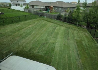 Lovely back yard with new grass, fencing, and mature trees.
